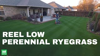 Reel Low Perennial Ryegrass  December 2017 full length [upl. by Cristen]