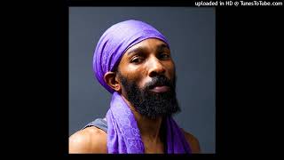 Spragga BenzTiny Tot Remix Nanny Goat Riddim [upl. by Fafa]