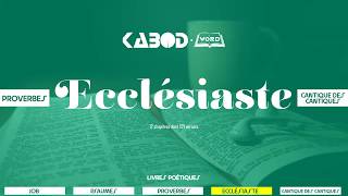 « Ecclésiaste »  LAncien Testament  La Sainte Bible audio VF Complète [upl. by Glassman611]