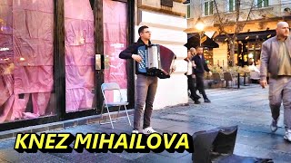 Izvrsni harmonikaš Knez Mihailova BeogradFotoVoja [upl. by Sallad]