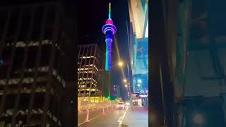 skytower auckland family reel [upl. by Ettereve]