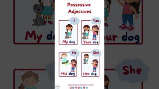 Mastering Possessive Adjectives Your Ultimate Guide to My Your His Her Our and Their 📚 [upl. by Refynnej]