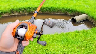 This SMALL Pond is LOADED w GIANT Bass [upl. by Anirec875]