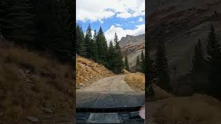 Down to Tree Line colorado snow shorts jeep [upl. by Zaid]