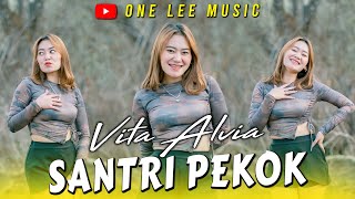 Vita Alvia  Santri Pekok DJ Remix [upl. by Htebi]