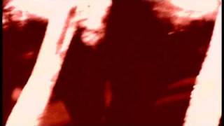 Amon Tobin  Bloodstone Official Video [upl. by Ahsoem]