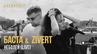 Баста amp Zivert  неболей LIVE [upl. by Paapanen]