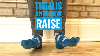 Tibialis Anterior Raise [upl. by Dloniger]