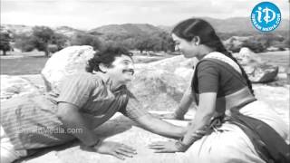 Maavi Chiguru Song  Seetha Mahalakshmi Movie Songs  ChandraMohan  Talluri Rameswari [upl. by Kempe]