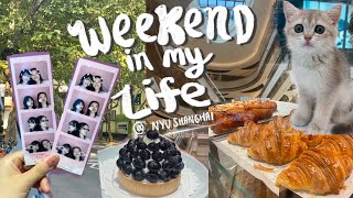 Weekend In My Life  NYU Shanghai [upl. by Elora]