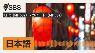 Kaiit（MF 537）  カイート（MF 537）  SBS Japanese  SBSの日本語放送 [upl. by Eelamme]