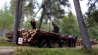 Horsedrawn Forwarder 3 of 4 [upl. by Nandor]