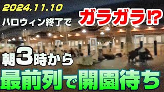 【ディズニーシー開園待ち】朝3時から並んでみた！クリスマス前の混雑状況レポート [upl. by Woodford648]