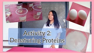 Activity 2 Denaturing Proteins Biochemistry DenaturingProteins [upl. by Llennej]