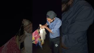 10kg big gulfam fish catch Mangla Dam new fishing Report 27102024 [upl. by Issac76]