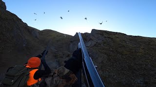 Ptarmigan HUNTING in Iceland  Rjúpnaveiði  Icelandic Elements Private Tours [upl. by Erland842]