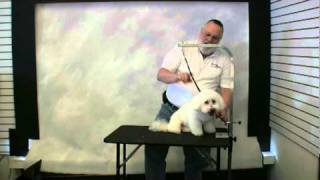 Groomers Helper  Quick Start Training [upl. by Gertrude]