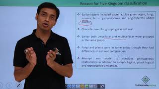 Class 11th – Biological Classification  Five Kingdom  Biological Classification  Tutorials Point [upl. by Namolos]