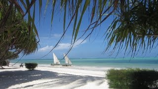 Sandies neptune Pwani beach Zanzibar please subscribe this channel [upl. by Junette947]