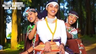 Falmataa Roorroo  Walleen Shaggooyyee Lyrics Oromo Music 2023 [upl. by Ynnob]