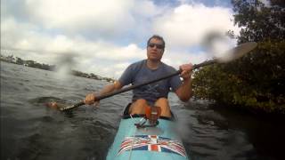 Kayaker Attacked By Alligator [upl. by Anitnuahs]