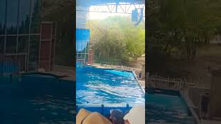 Seaworld sanantonio [upl. by Ebag]