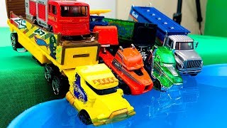 Coches y Camiones Transportadores  Carros para Niños  Colección de Juguetes Infantiles [upl. by Repip69]