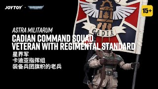 Joytoy 118 Warhammer 40K Astra Militarum Cadian Command Squad Veteran with Regimental Standard [upl. by Sayers]