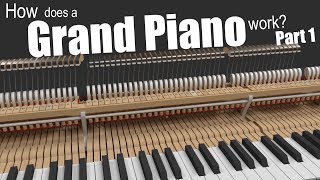 How does a Grand Piano work  Part 1 [upl. by Quackenbush]