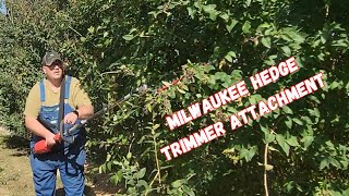 Is this Milwaukee hedge trimmer attachment worth buying Watch and see for yourself [upl. by Nalyak]