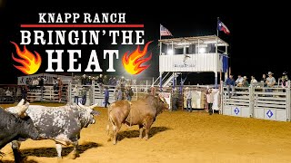 These Bull Riders were on Fire The Legendary Knapp Ranch Mansfield TX [upl. by Nurse]