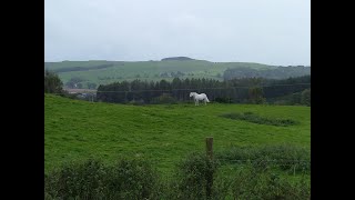 Regenerative Farming Network  Nature of Scotland Awards 2023 [upl. by Jarret]