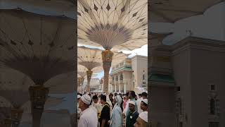 Inside the Beautiful Masjid Al Nabawi [upl. by Noiz]