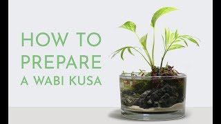 How to Make a Wabi Kusa  Preparing an  SA  Substrate Ball [upl. by Sanyu160]