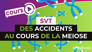 Des accidents au cours de la meiose  SVT  TS  digiSchool [upl. by Elfie]