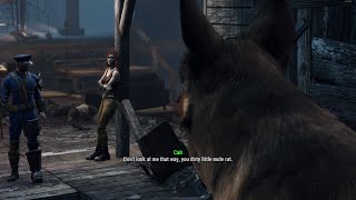 Cait insults dogmeat [upl. by Rusel329]