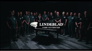 Introduction to Lindeblad Piano Restoration [upl. by Nena435]