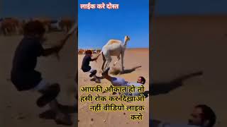 Comedy 😄😄😄shortvideo funny old song Hindi old is gold [upl. by Hartzke338]