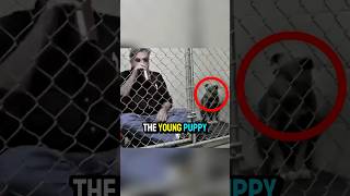 Man Locks himself in The Cage With A Puppy🤧 [upl. by Hgielac]