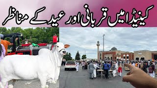 1st Day of Eid ul Azha in Canada 2024 [upl. by Asiole]