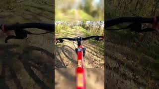 mtb jumps downhill mountainbike tricks trail fyp fypシ゚viral [upl. by Nnylav]