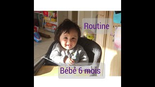 Routine bébé 6 mois repas et rythme [upl. by Norling]