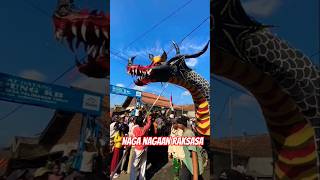 Naga nagaan melintas karnaval shortvideos [upl. by Elliven]