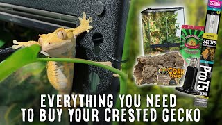 Beginners Guide To Crested Gecko Supplies  Tank Heater Light Substrate amp More [upl. by Bellda104]