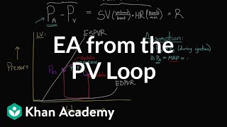 Getting Ea arterial elastance from the PV loop  NCLEXRN  Khan Academy [upl. by Irollam681]