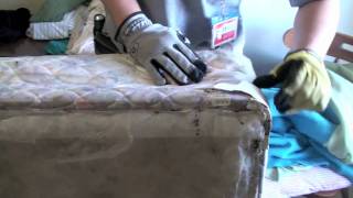 Bed Bug Inspection Process Very Bad Bed Bugs [upl. by Nayb]