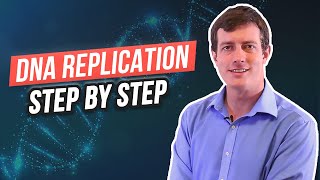 6 Steps of DNA Replication [upl. by Voltz759]