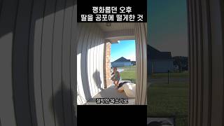 quot엄마 나좀 살려줘quot 어린 딸이 다급한 목소리로 도망쳤던 이유 [upl. by Friedlander130]