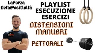 DISTENSIONI MANUBRI PANCA PIANA  DUMBBELS PRESS  PETTORALI [upl. by Hatfield]