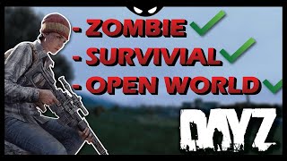 DayZ The ONLY Successful Survival Zombie Game [upl. by Berwick]